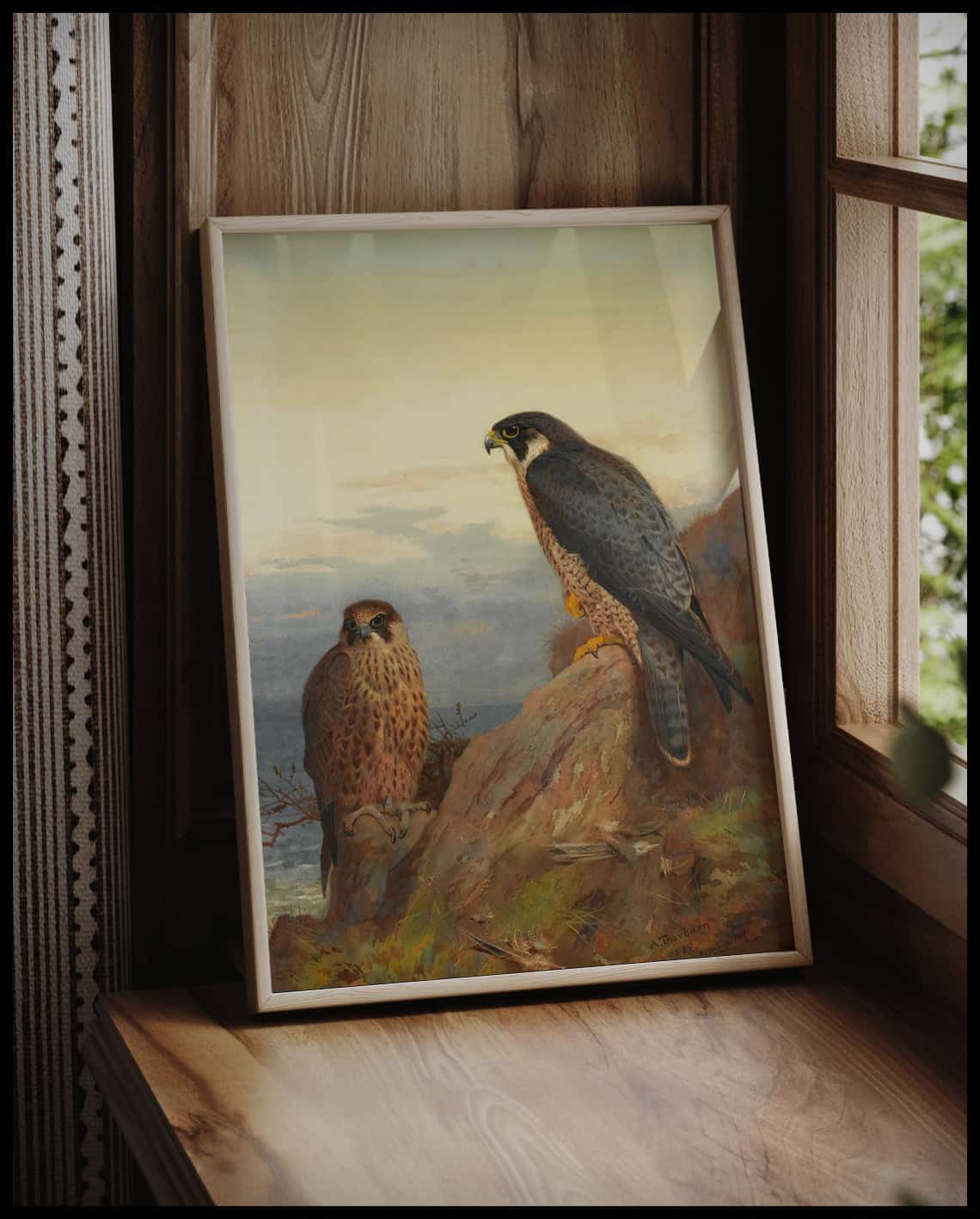 Peregrine falcon poster