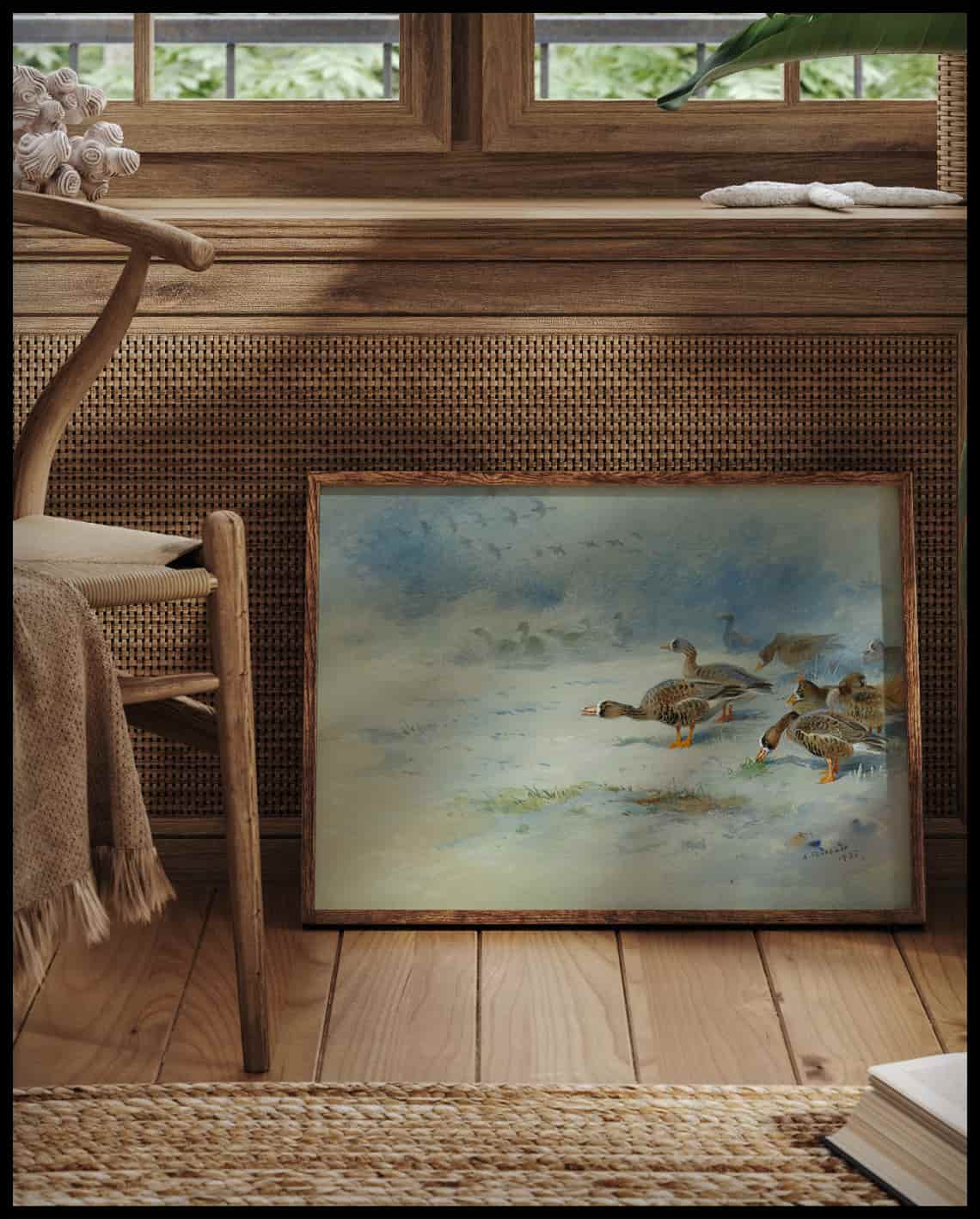 Weißwangengans Poster