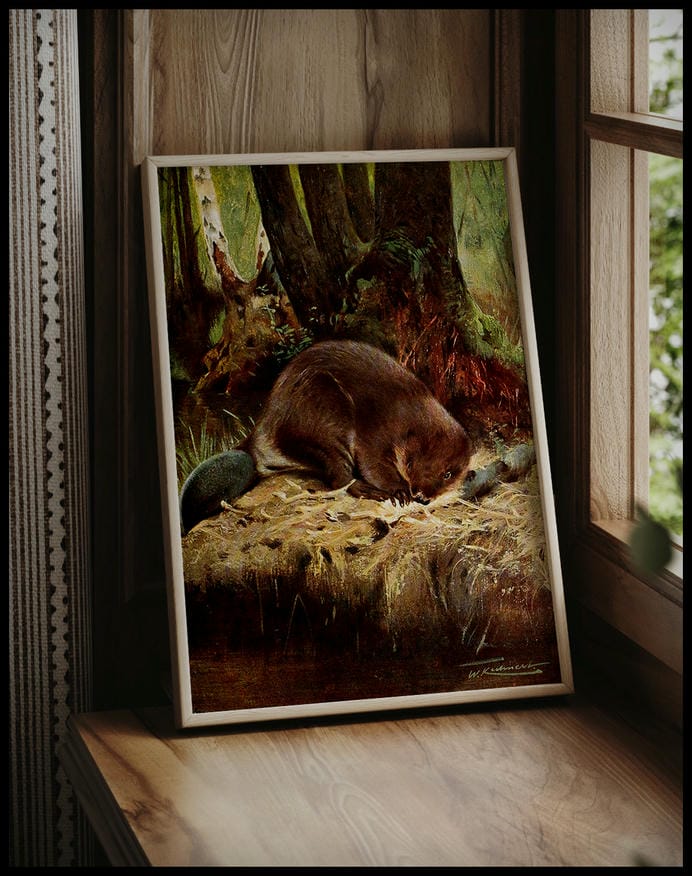 Beaver