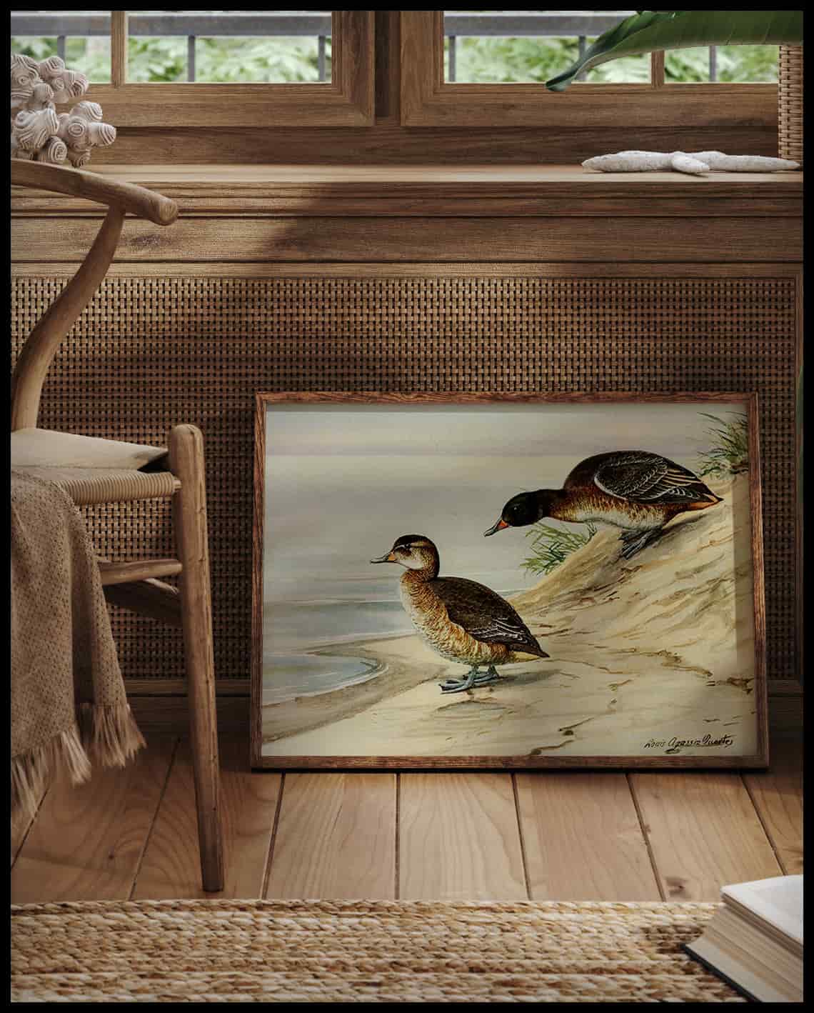 Cuckoo duck poster