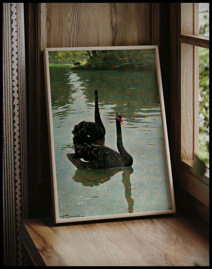 Black Swan