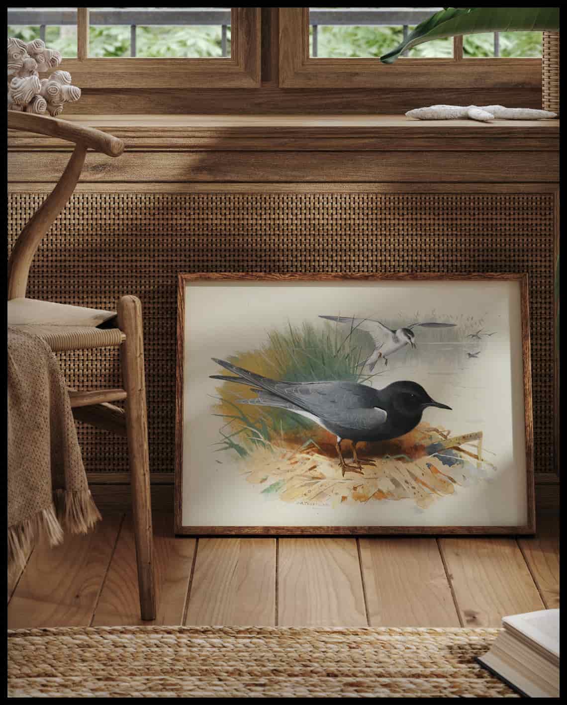 Shearwater poster