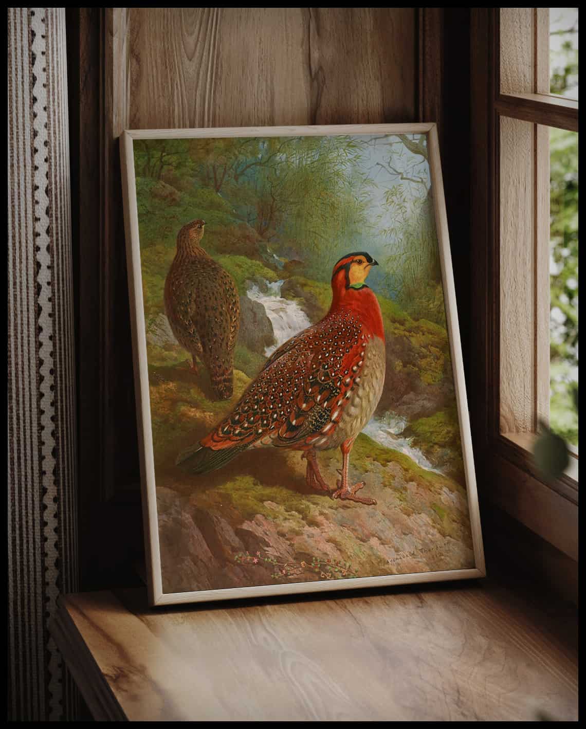 Tragopan Poster