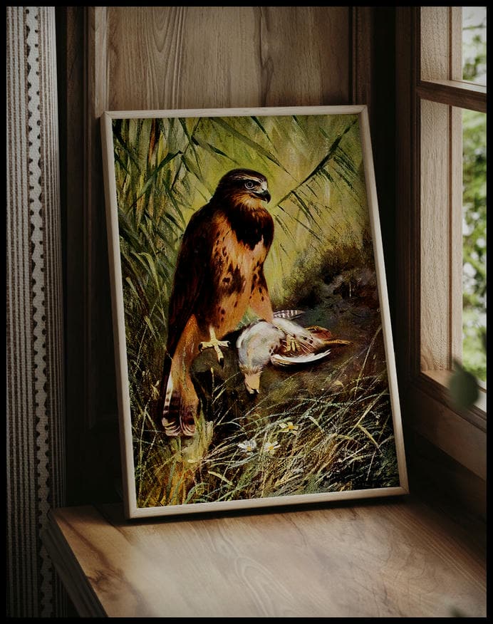 Buzzard