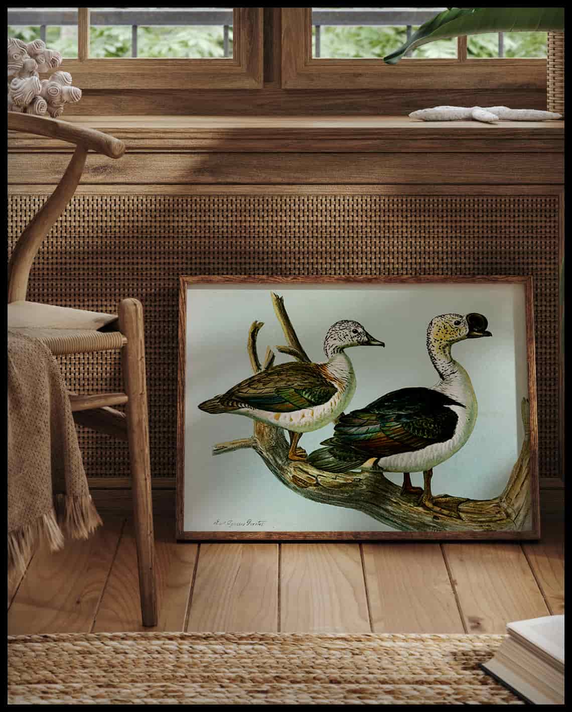 Sarcidiornis poster