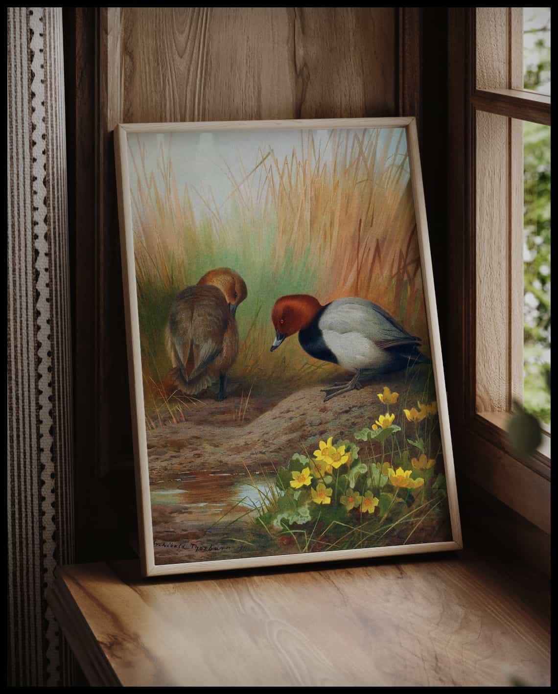 Pochard poster