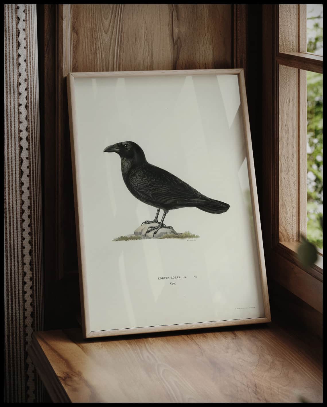 Corvus Corax Poster