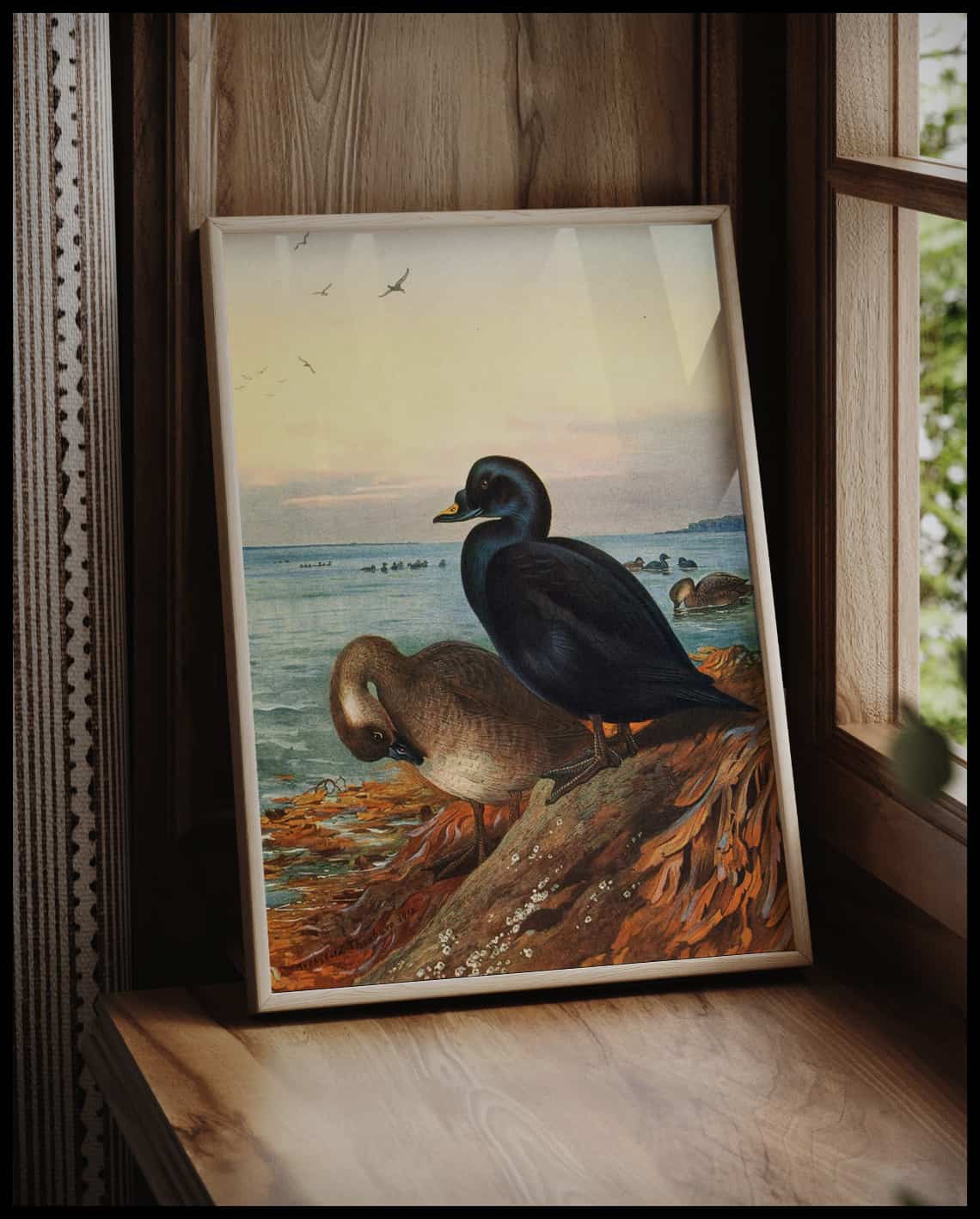 Sea ducks poster