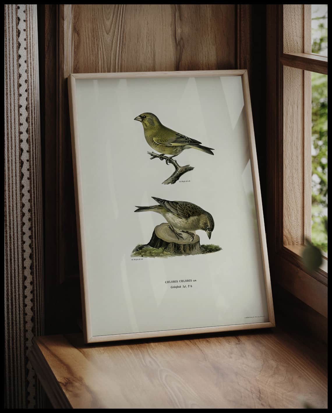 Chloris Chloris Poster