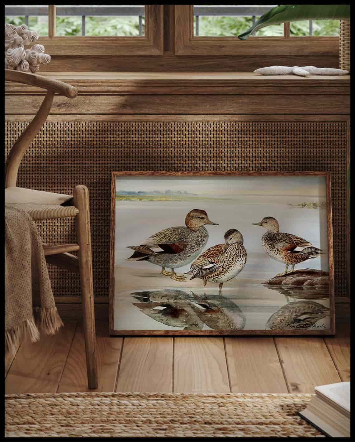 Gadwall poster