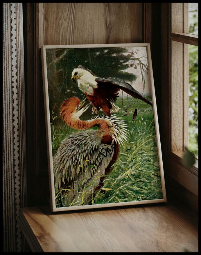Giant Heron And Sea Eagle