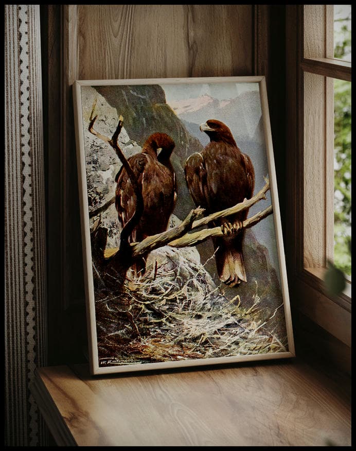 Golden Eagle