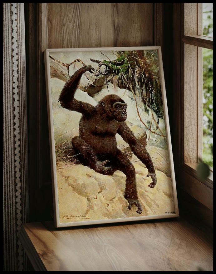 Gorilla
