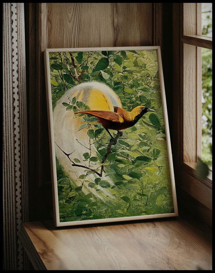 Great Bird Of Paradise