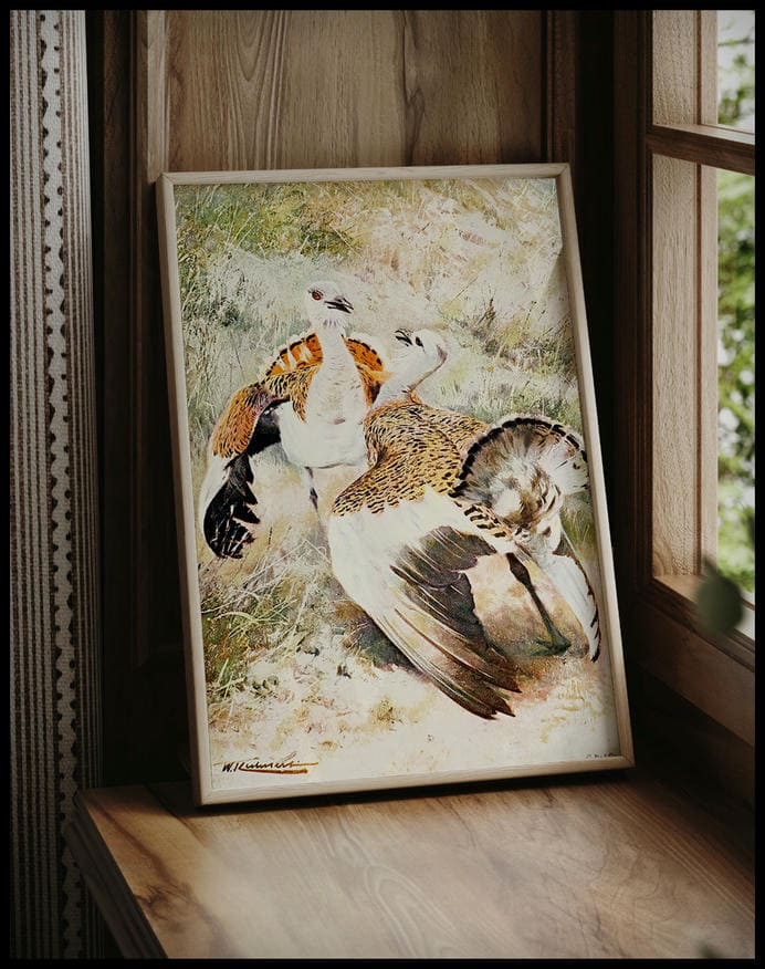 Great Bustard