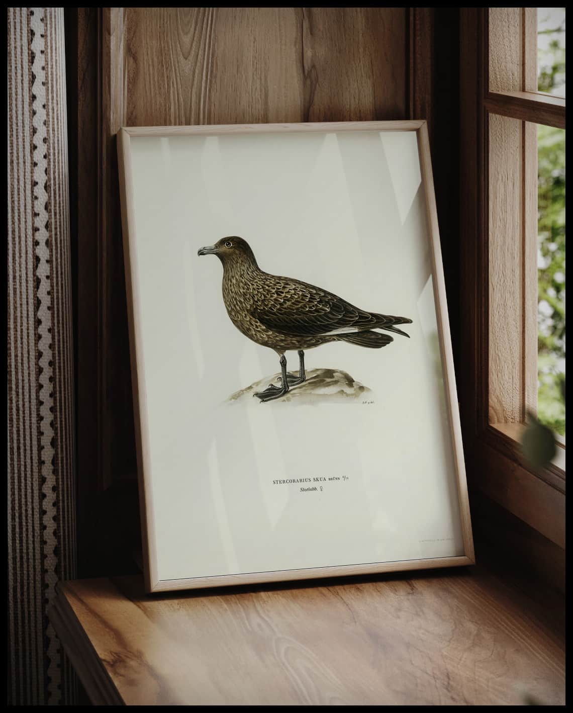 Stercorarius Skua Poster