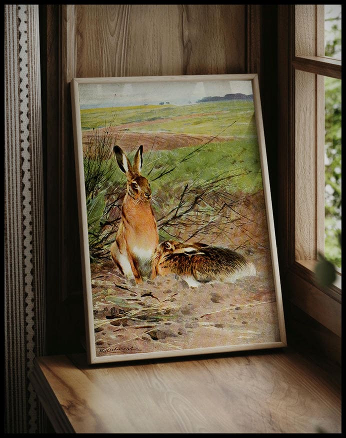 Hare