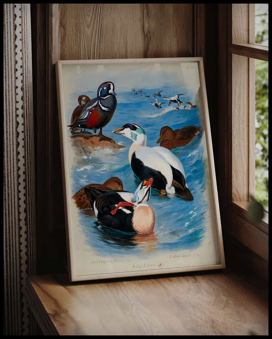 Ducks poster