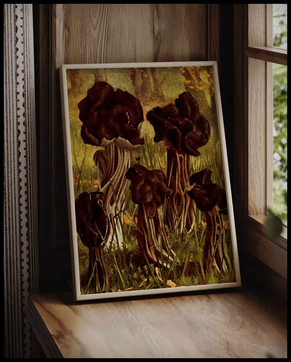 Helvella Lacunosa