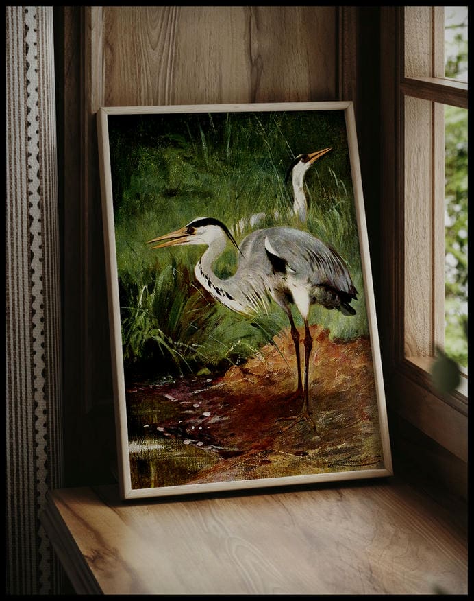Heron