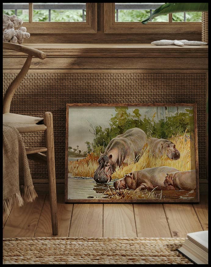 Hippopotamus