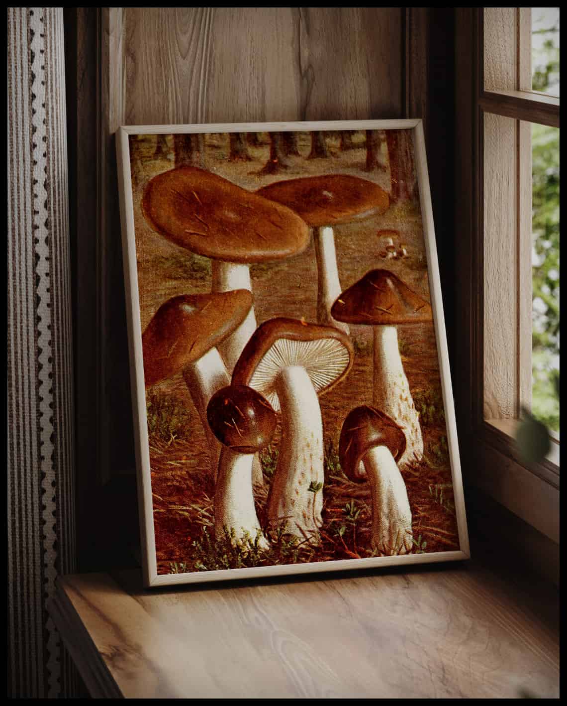 Hygrophorus Olivaceo Albus