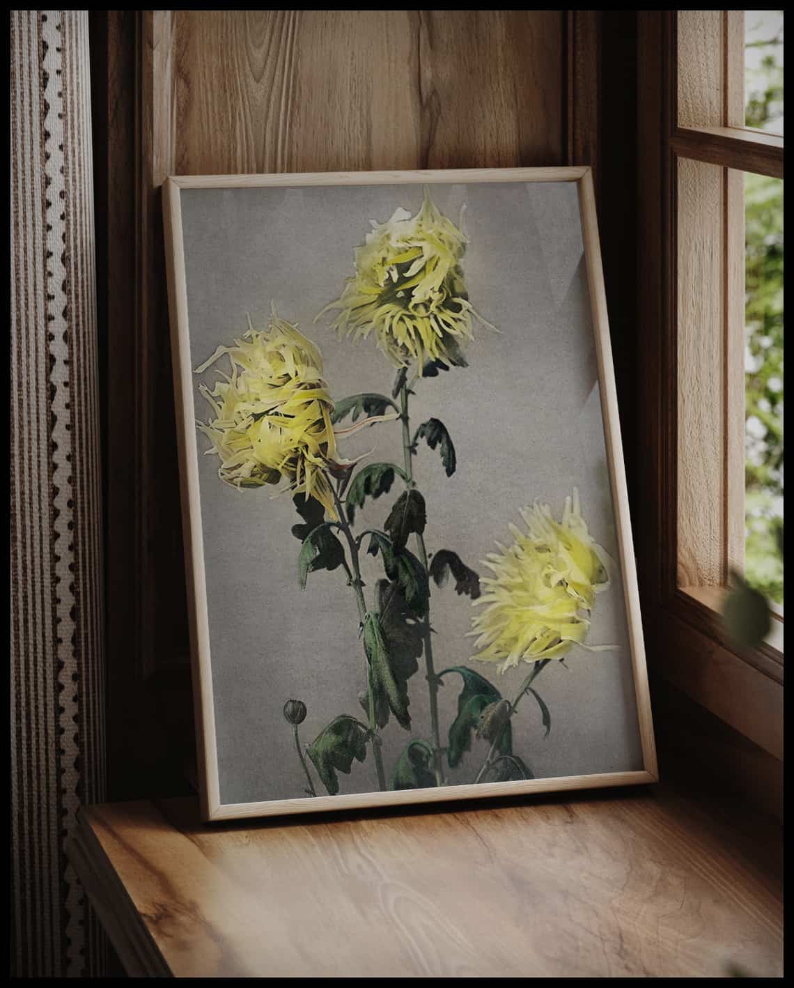 Japanese Flowers