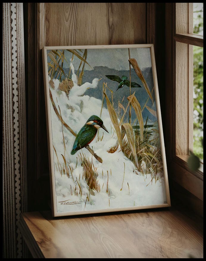 Kingfisher