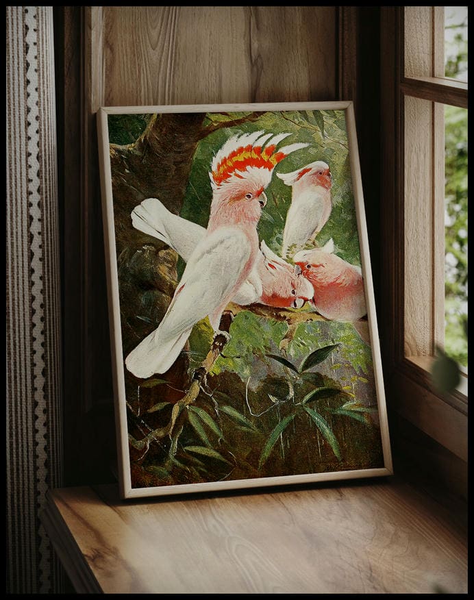 Leadbeaters Cockatoo