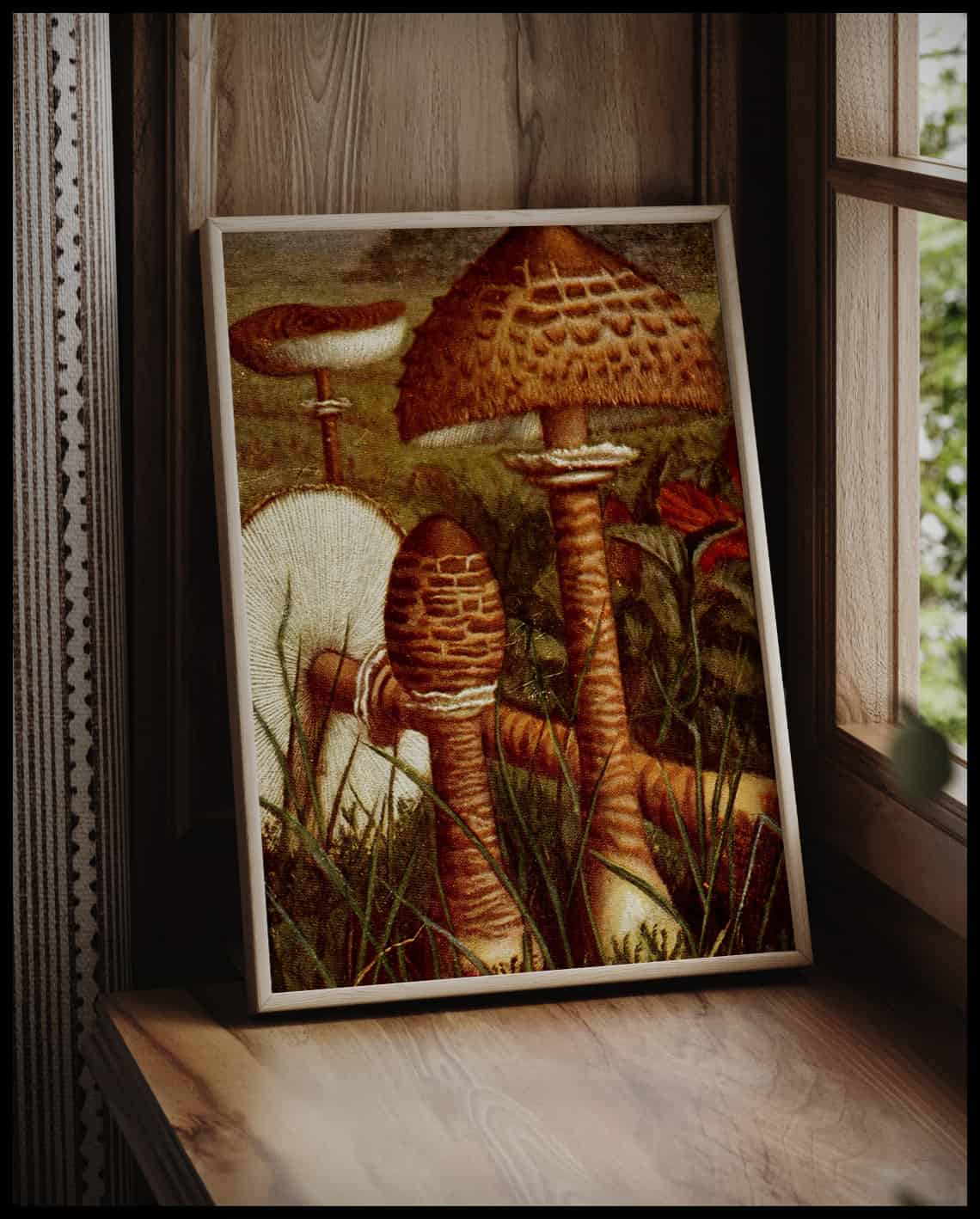 Lepiota Procera
