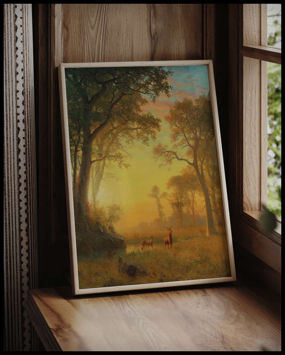 Lumière dans la forêt