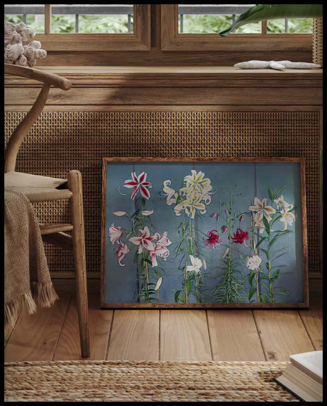 Lily Flowers