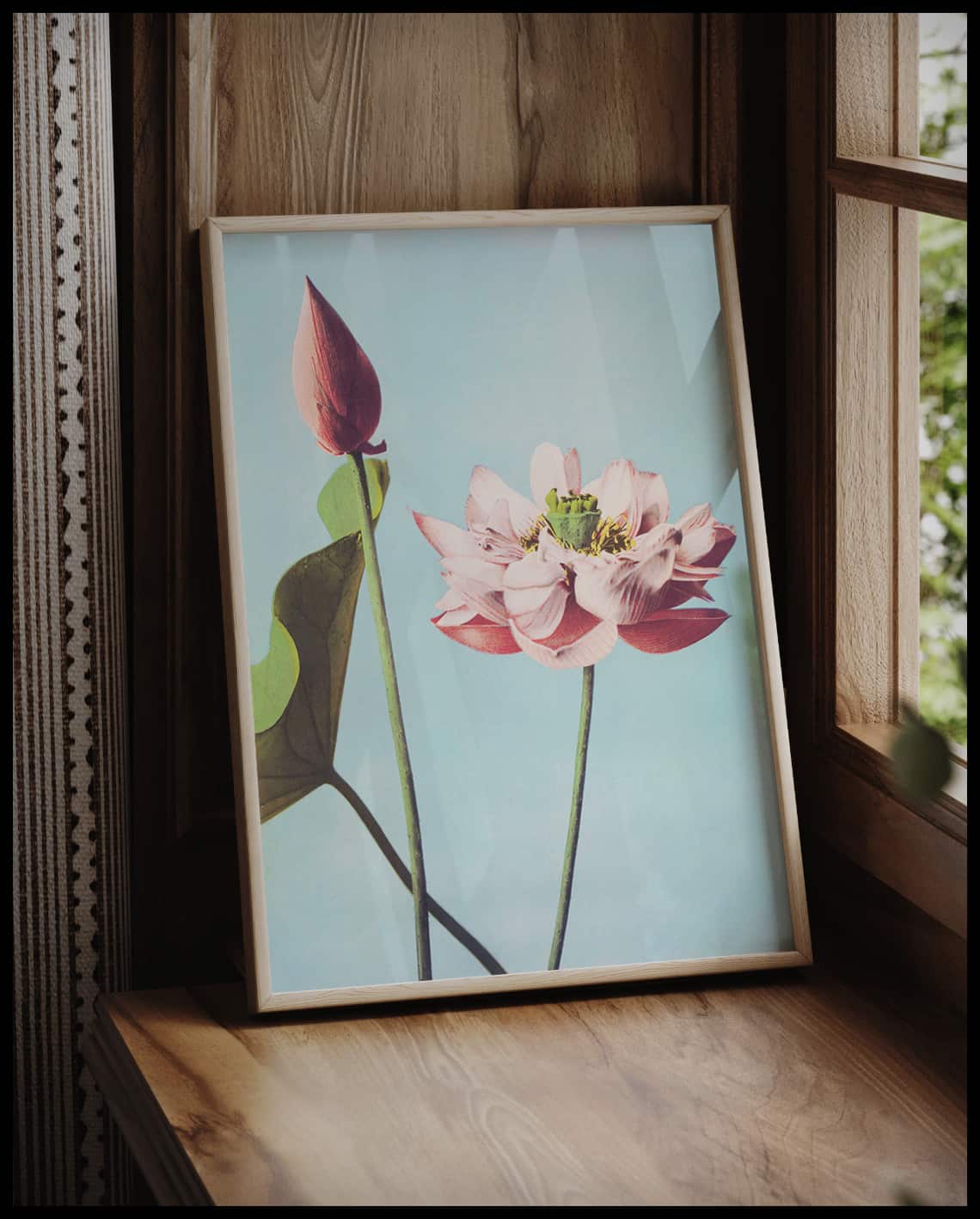 Lotus Flowers