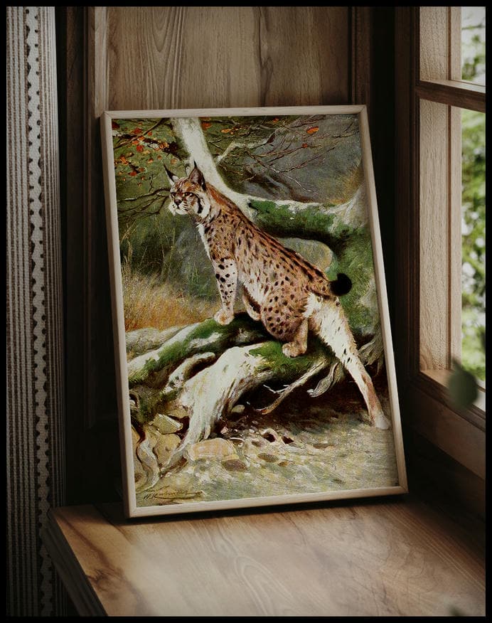 Lynx
