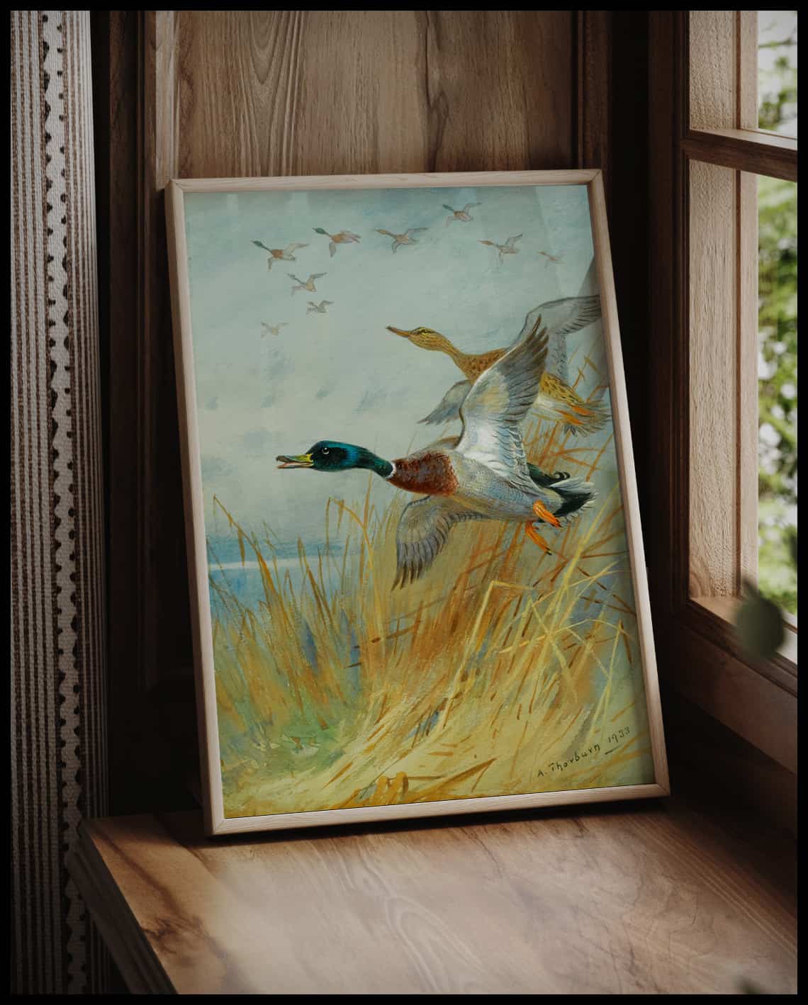 Mallard ducks poster