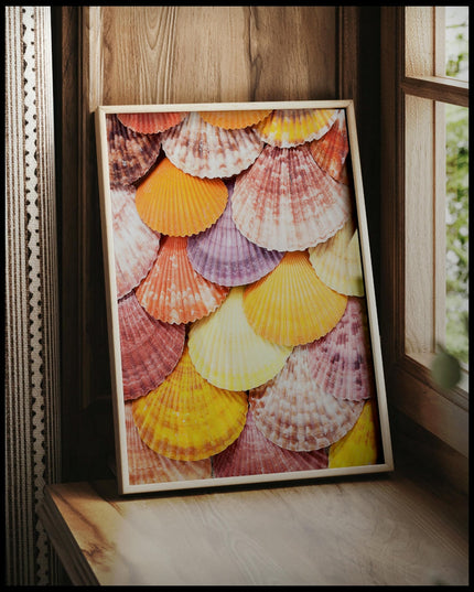 Muscheln Poster