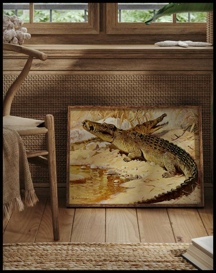 Nile Crocodile