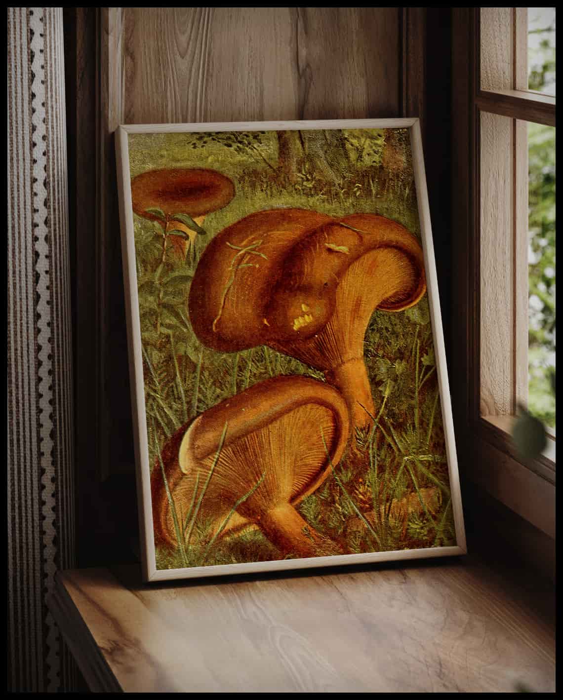 Paxillus Involutus