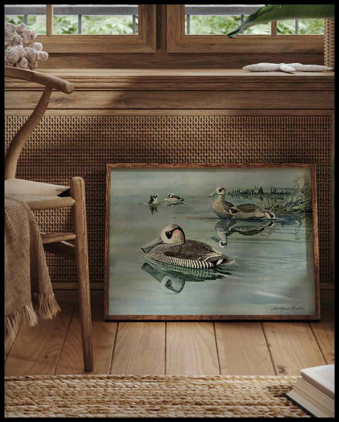 Rose-eared Duck Poster