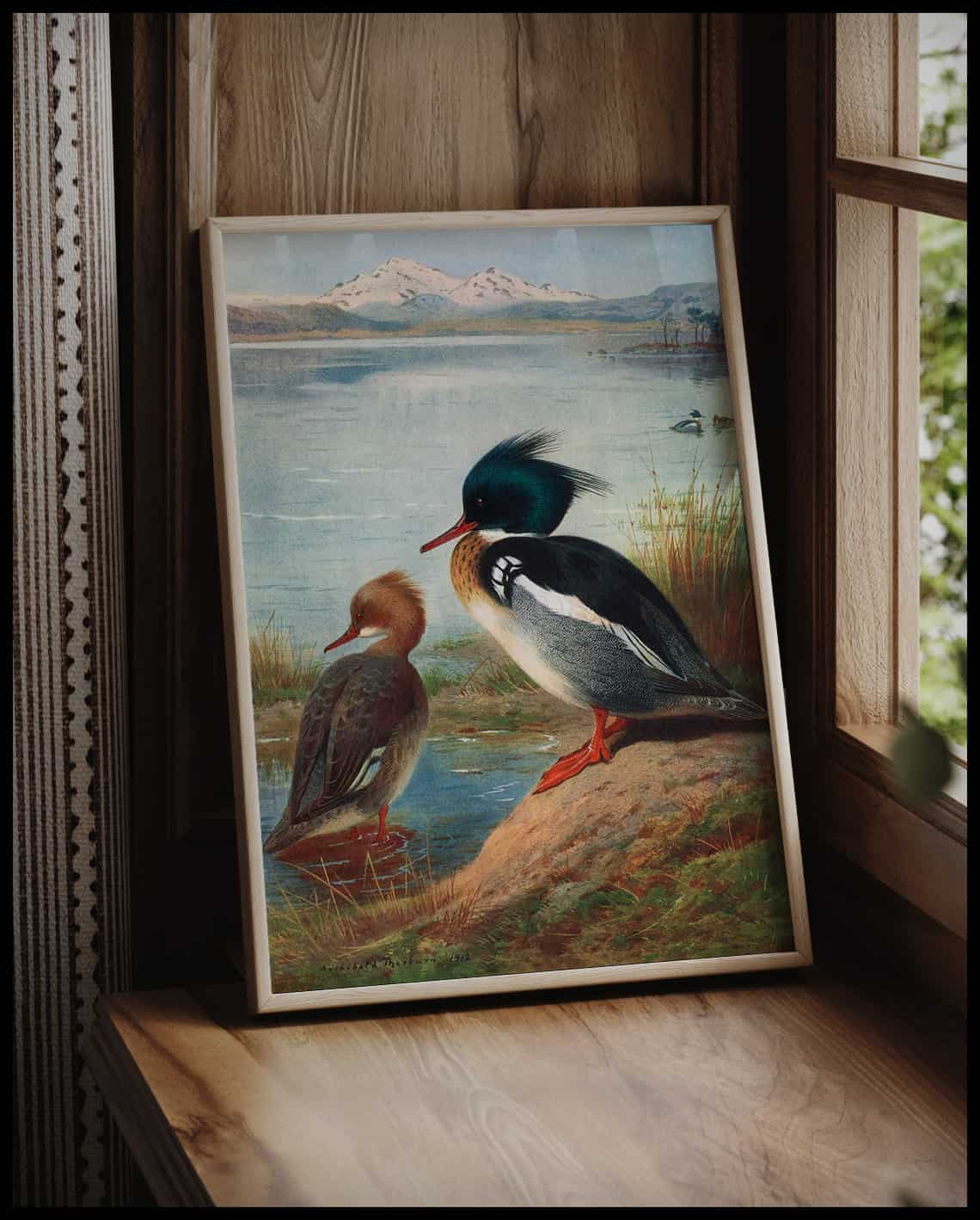 Gänsesäger Poster