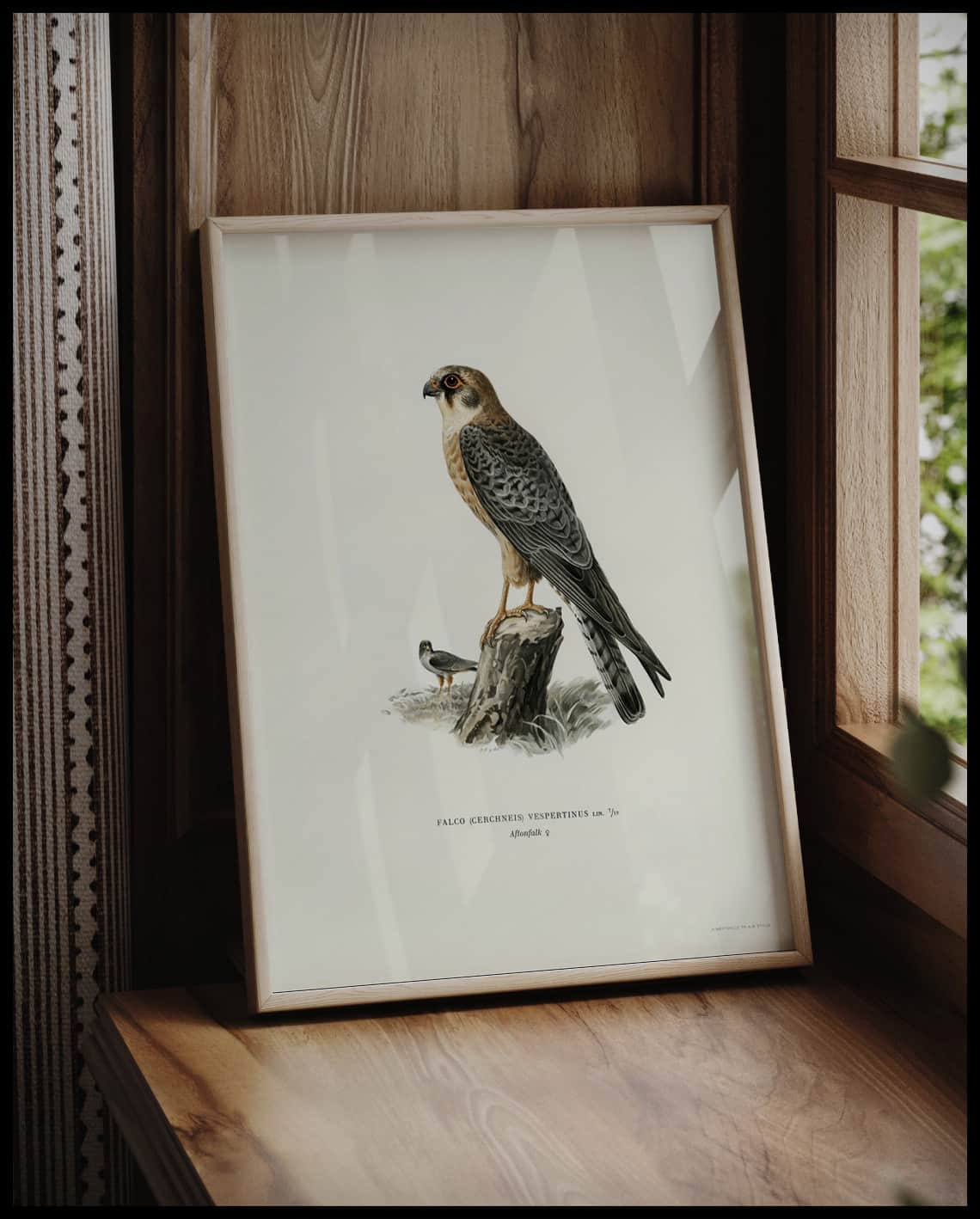 Falco Vespertinus Poster