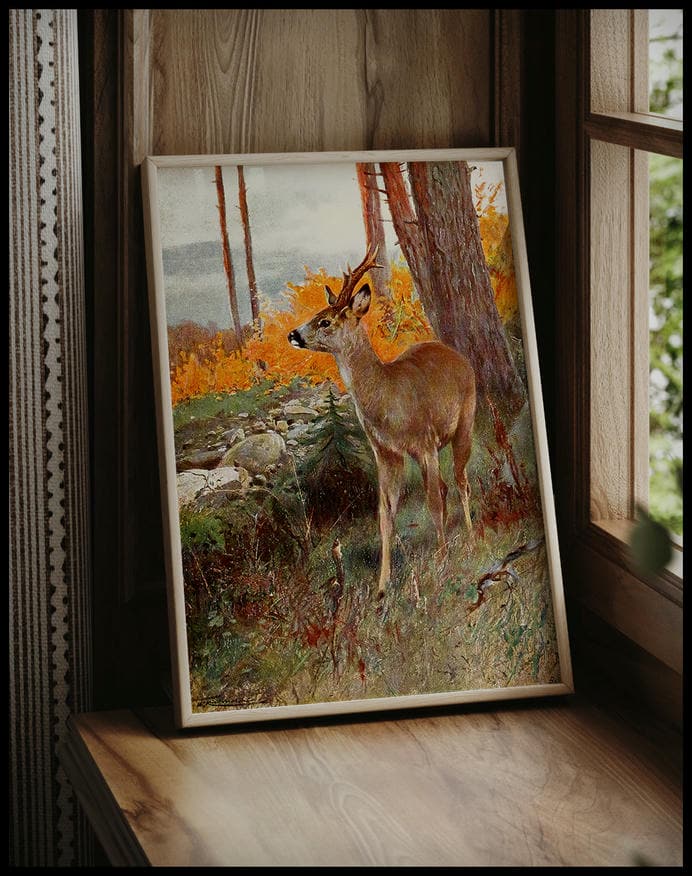 Roe Deer