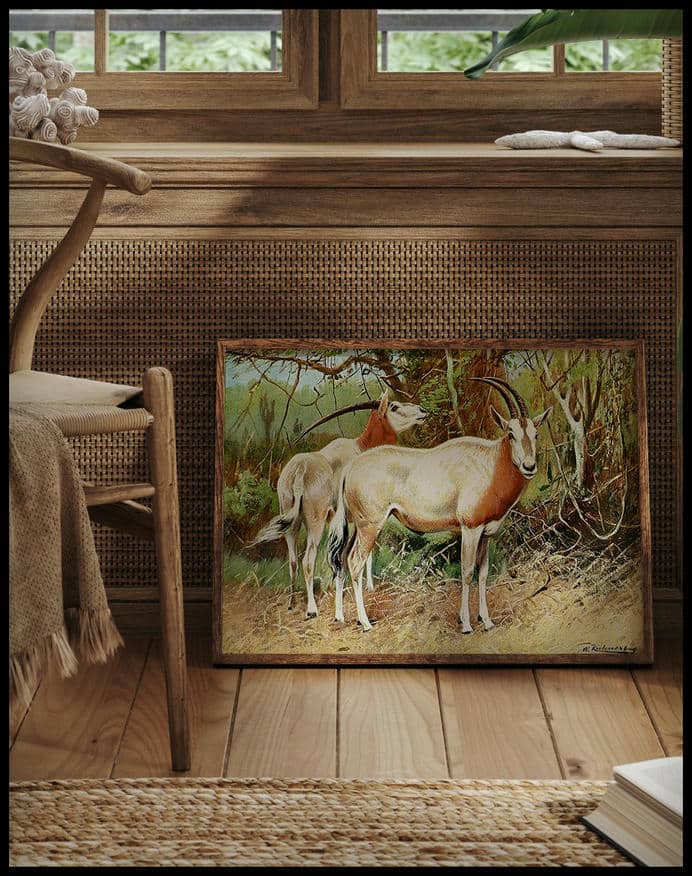 Sable Antelope