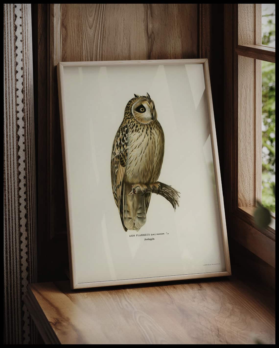 Asio Flammeus Poster