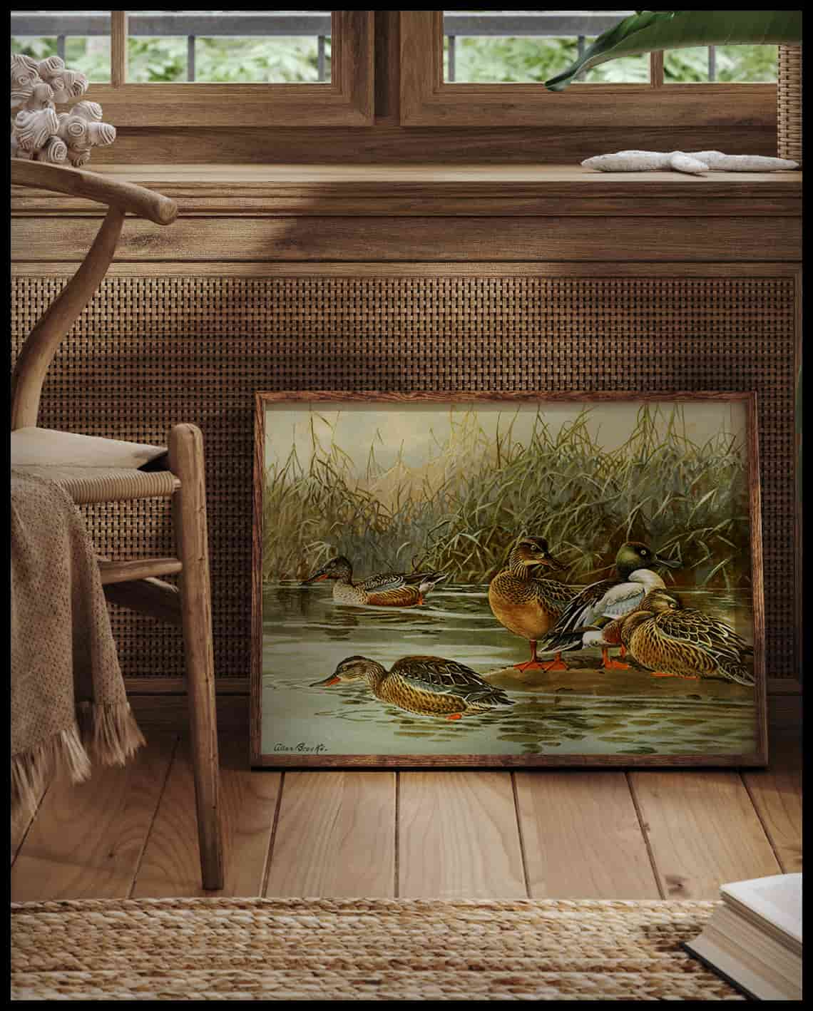 Löffelente Poster