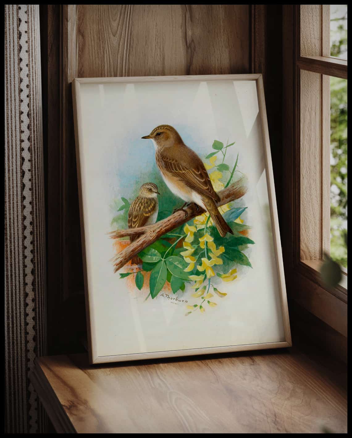 Gray flycatcher poster