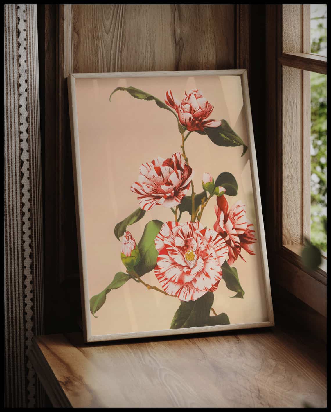 Striped Camellias