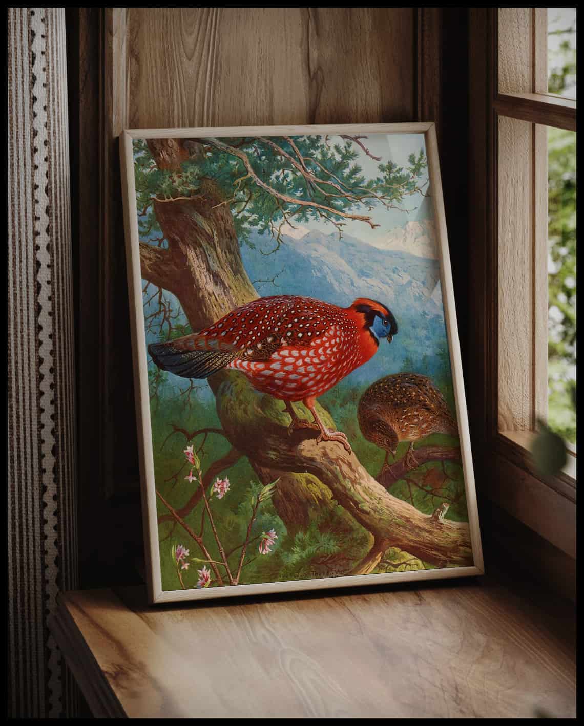 Temmincktragopan Poster