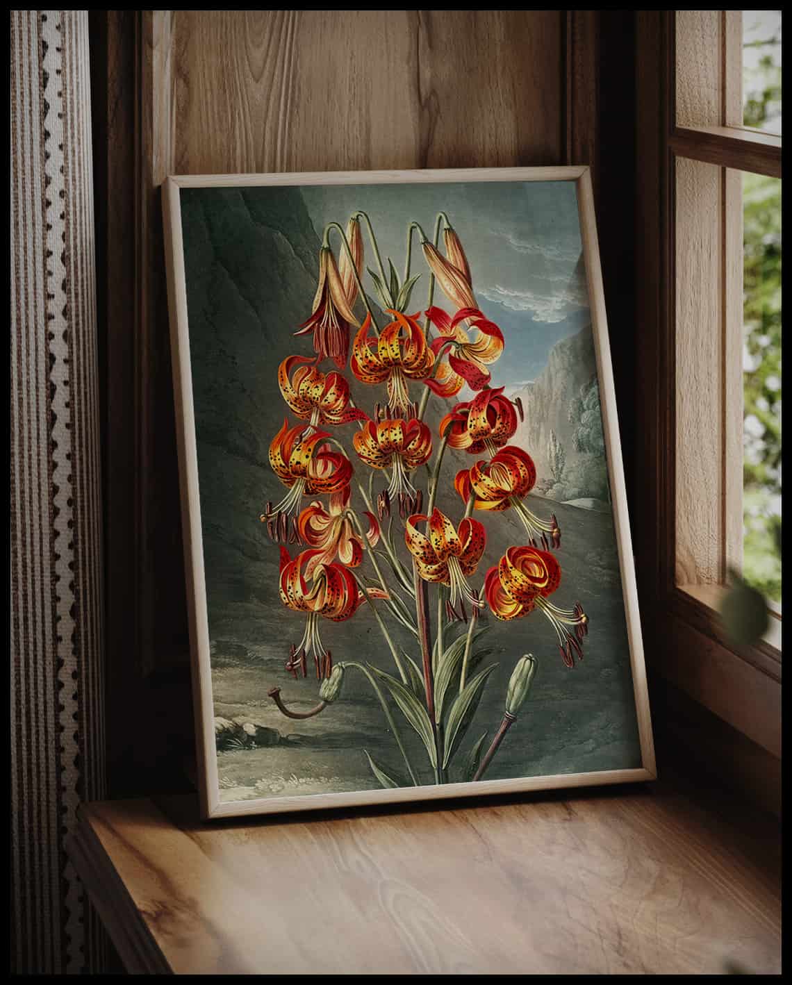 The Superb Lily
