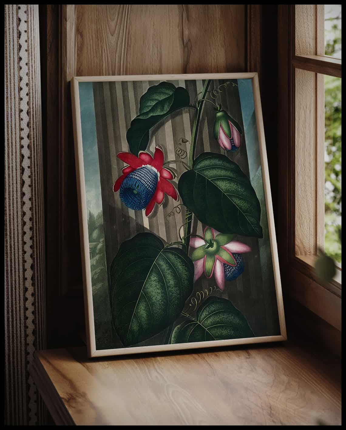 Winged Passion Flower